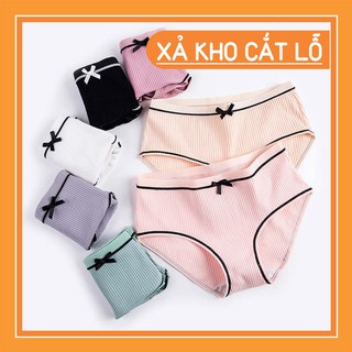 🌈🌈🌈 Quần lót cotton tăm đính nơ – Combo 10 chiếc