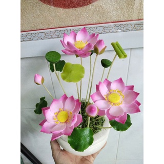 Chậu sen đất sét size nhỏ