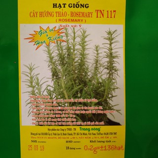 HẠT GIỐNG RAU GIA VỊ ROSEMARY (HƯƠNG THẢO) TN117 -GÓI 0.2 GRAM
