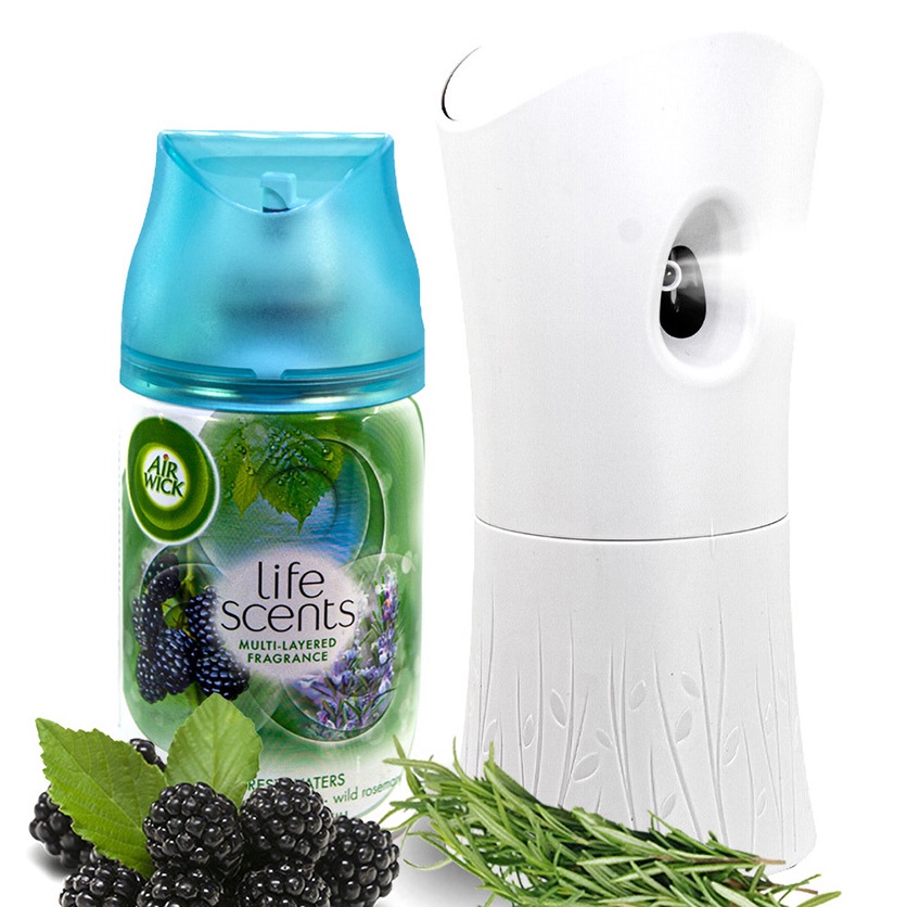 HOA HƯƠNG THẢO Bộ phun tinh dầu tự động Air Wick Forest Water 250ml