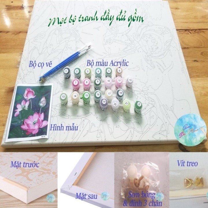 Tranh Sơn Dầu Số Hóa Cô Gái Tự Tô Màu Theo Số Kích Thước 40x50 | BigBuy360 - bigbuy360.vn