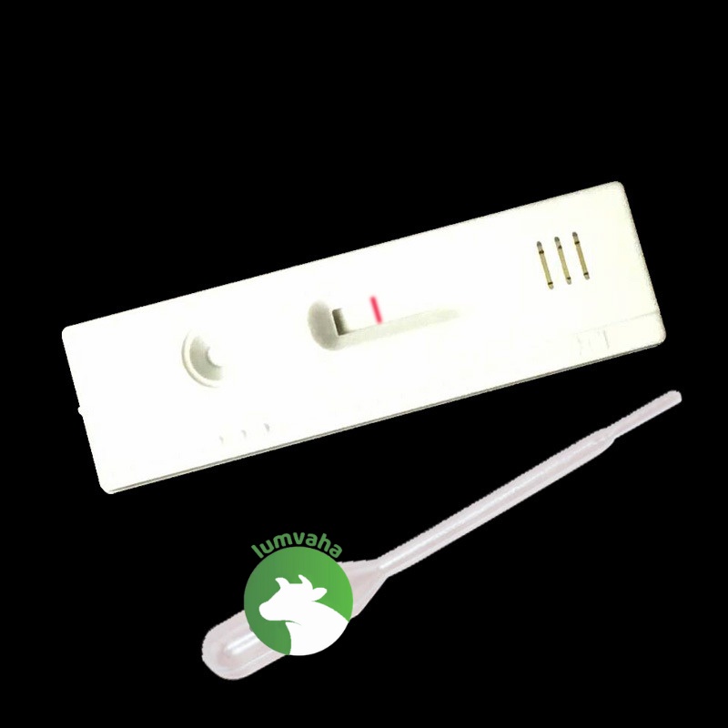 Que thử thai lợn gia xúc trâu bò phát hiện thai sớm VA34