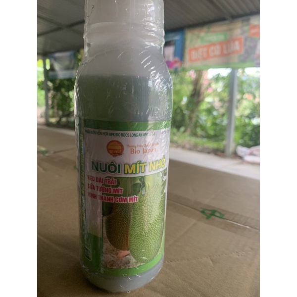 Nuôi mít nhỏ chai 500ml