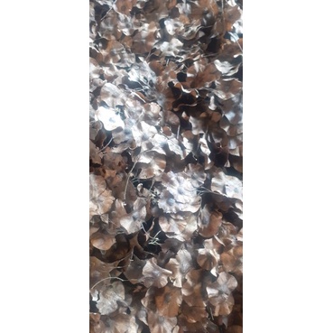 100gram giáng hương giống
