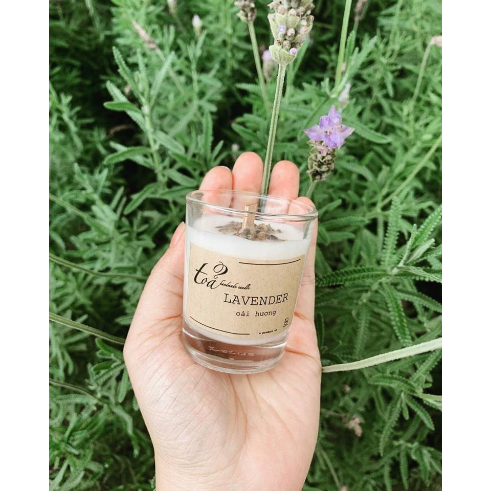 Nến đơn hương Lavender | Tỏa Handmade Candle