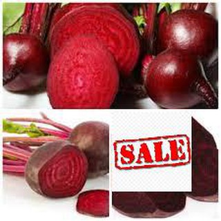 Gói 10 gr hạt giống củ dền đỏ sale
