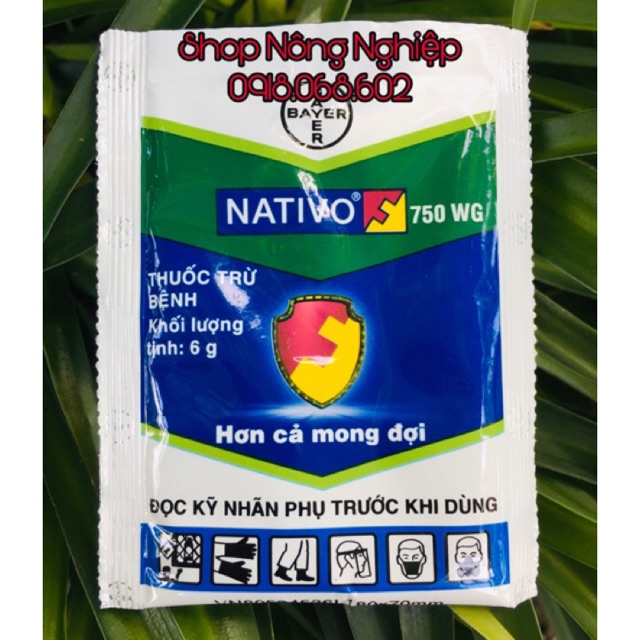 Thuốc trừ bệnh NATIVO 750WG