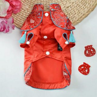 Áo Tết thuê hoa cho thú cưng