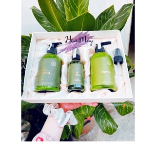 Combo bộ dầu gội bưởi vi-jully