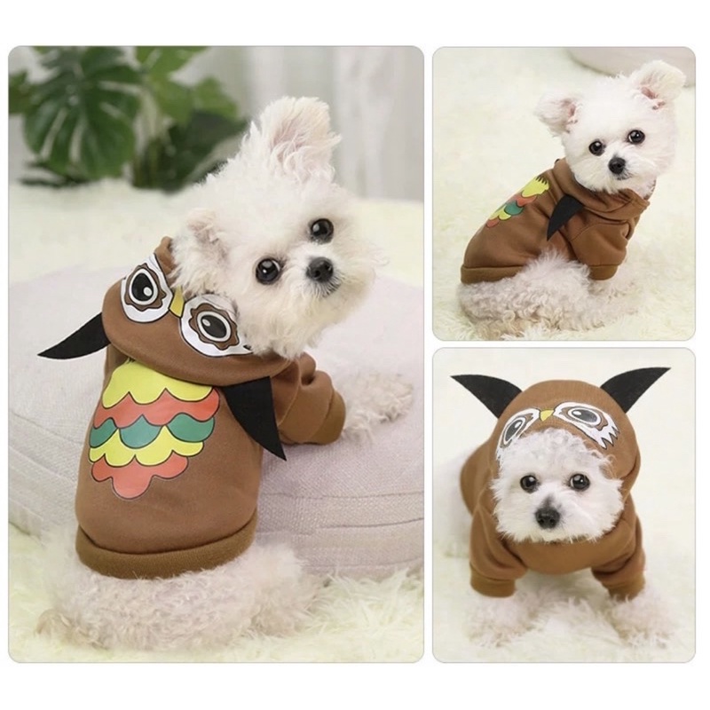 Áo Hoodie nỉ nhiều mẫu cực xinh cho cún miu