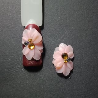 Hoa bột ngành nail
