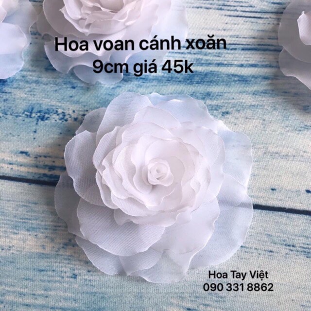 hoa voan cánh xoăn