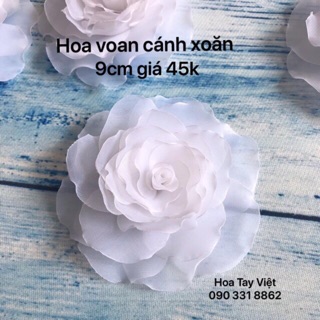 hoa voan cánh xoăn