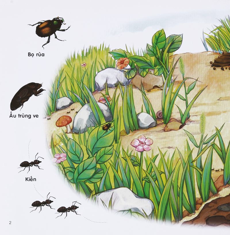 Sách - Chú Mèo Kẹo Bi Phiêu lưu Trong Xứ Sở Côn Trùng (Tập 2): Trong Lòng Đất