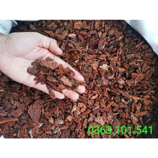 Vỏ Thông Trồng Lan Dạng Hạt Ngô/Bắp Túi 1kg