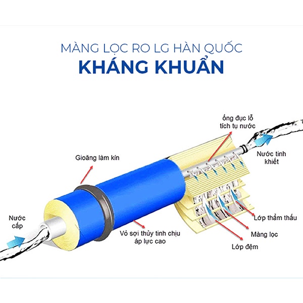 Máy Lọc Nước RO 8 cấp Coex WP-7114