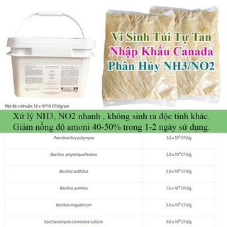 Vi Sinh xử lý khí độc, phân hủy nhớt bạt, làm sạch môi trường Ao Nuôi Tôm Cá