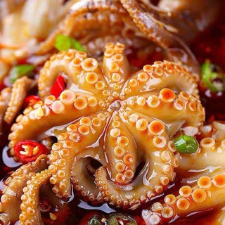 BẠCH TUỘC RIM CAY