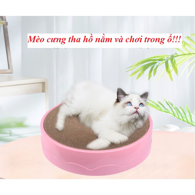 Bàn Cào Móng Mèo Hình Tròn [GIÁ XẢ KHO] size 43cm Siêu to khổng lồ