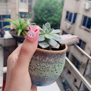 CHAM THÚ KUTE ( gấu -thỏ - bikachu 2k/1 cái)