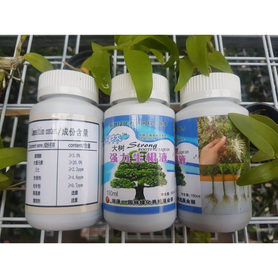 [FREESHIP TỪ 50K] KÍCH RỄ ĐÀI LOAN SIÊU MẠNH CHUYÊN DÙNG CHO HỒNG VÀ CÁC LOẠI CÂY CẢNH BONSAI