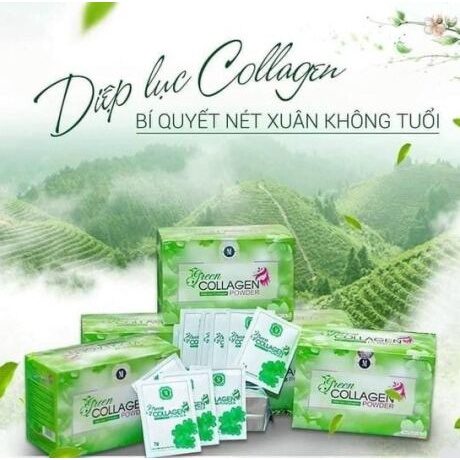 Diệp lục collagen green colagen làm đẹp da giảm thâm nám mờ tàn nhang mụn giảm khô hạn tăng cường nội tiết tố nữ