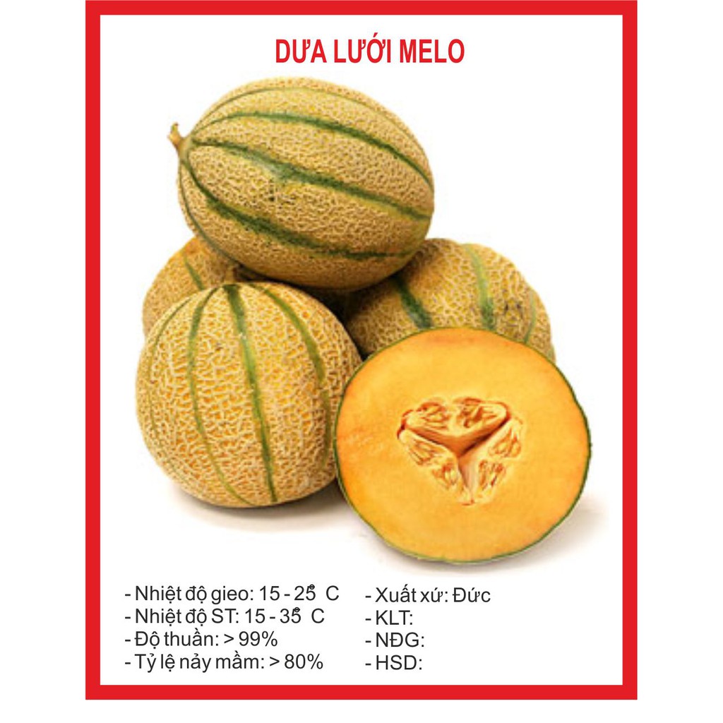 Dưa Lưới Melo Ruột Vàng - 10 Hạt