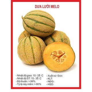 Dưa Lưới Melo Ruột Vàng - 10 Hạt