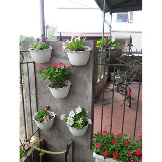 Chậu cây treo tường