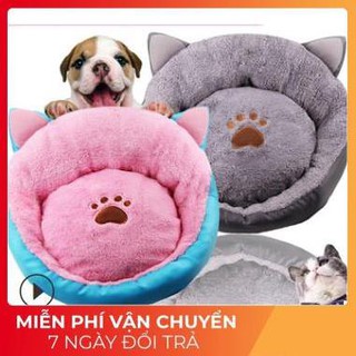 Đệm thú cưng tai mèo đủ size
