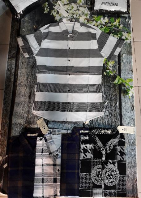 Áo sơ mi ngắn tay