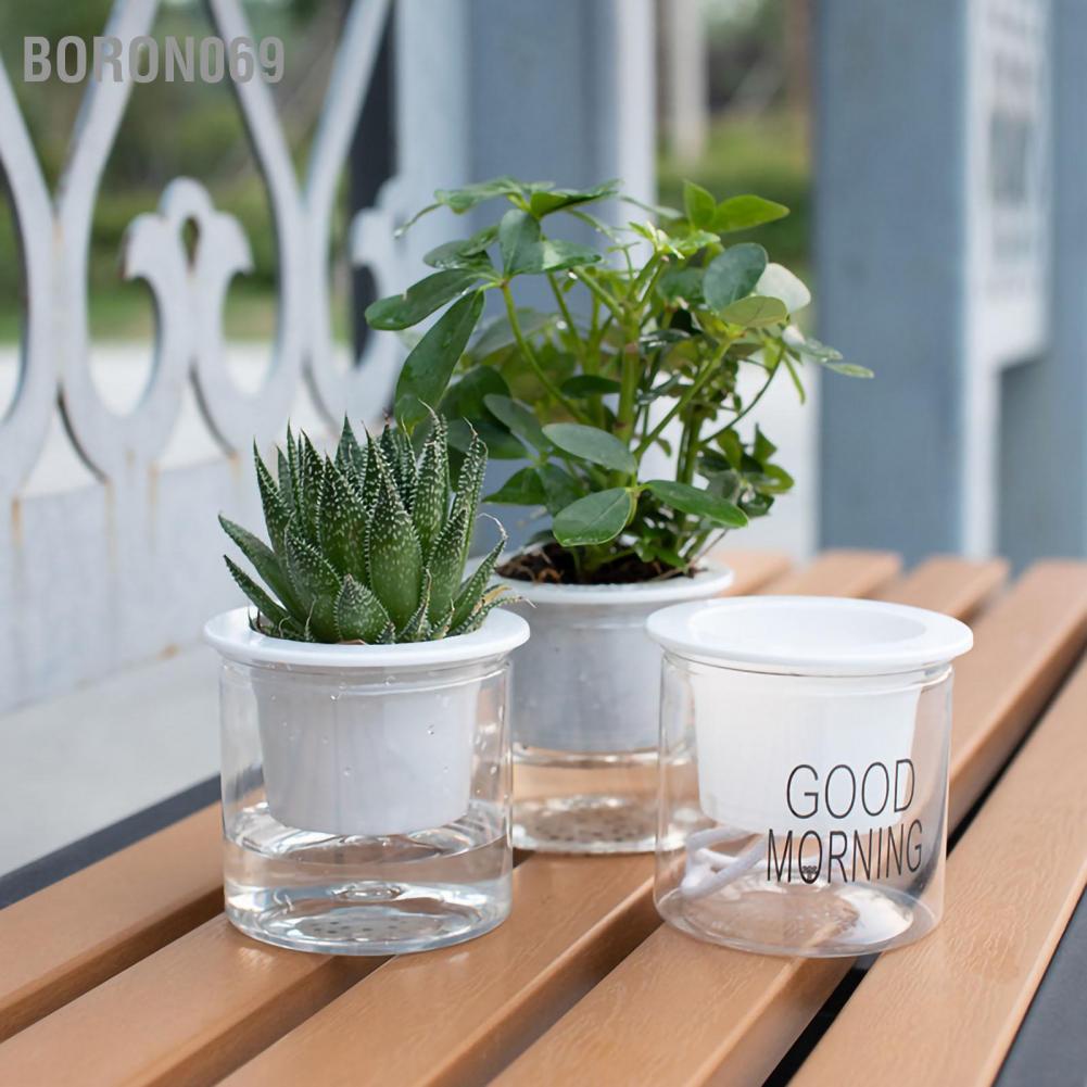 Chậu hoa trong nhà tưới nước tự hấp thụ đựng suốt cho văn phòng Boron069