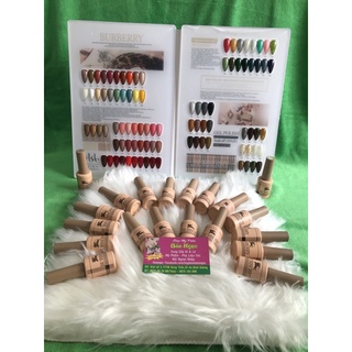 SƠN GEL CHUẨN BURBERRY (mua nguyên set tặng bảng màu - Vali hộp đựng)