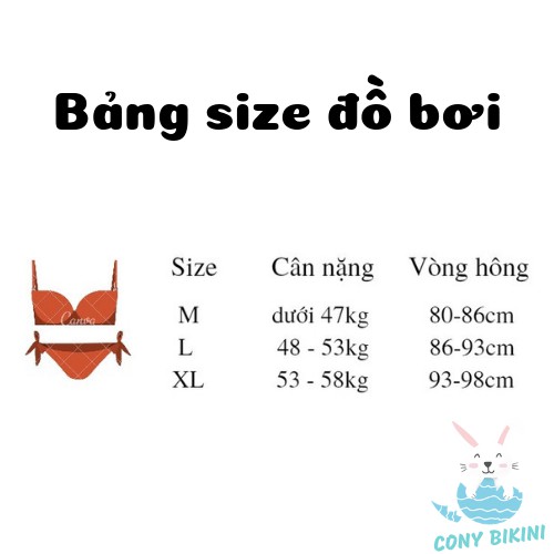 (Hà Nội) Bộ Đồ Bơi Đi Tắm Biển Nữ Bikini 2 Mảnh (1 Set Áo Bra Và Quần Lót) 1903 II KIT Sport VN NAM | BigBuy360 - bigbuy360.vn