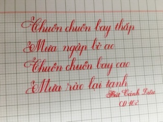 Bút ngòi lá tre CD102
