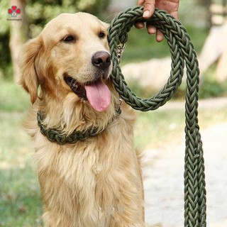 Dây Dắt Thú Cưng Đi Dạo Tiện Lợi