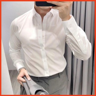 Áo Sơ Mi Nam Trắng Dài tay Cotton lịch lãm sang trọng SML