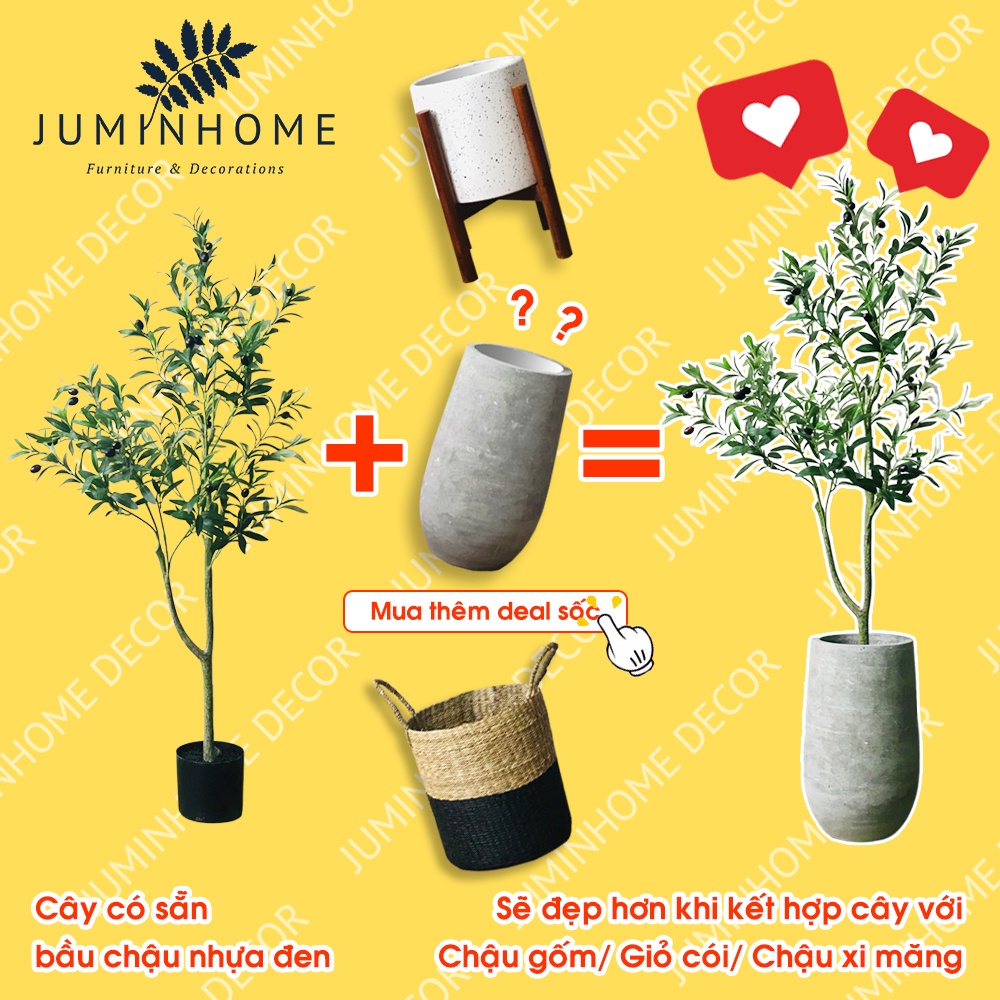 Cây oliu giả, cây olive giả - Cây giả decor trang trí nhà cửa nội thất phòng khách phòng ngủ