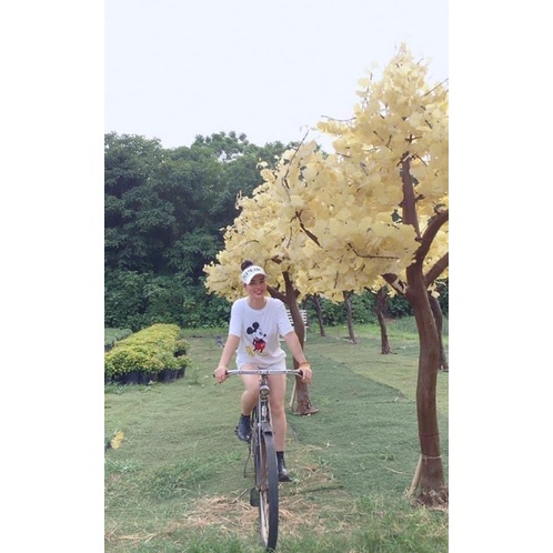 Áo phông nam nữ UT mickey xuất dư