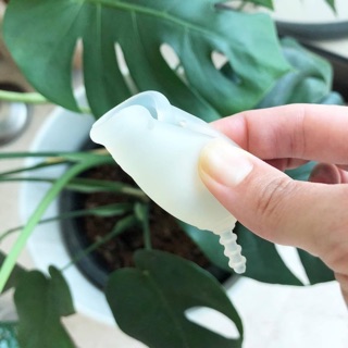 Cốc nguyệt san OrganiCup