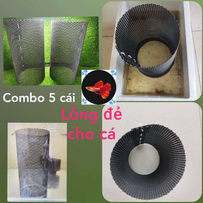 Lồng đẻ combo 5 cái