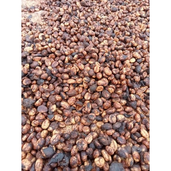 Cafe Moka nguyên chất Ban Mê Thuột 500g