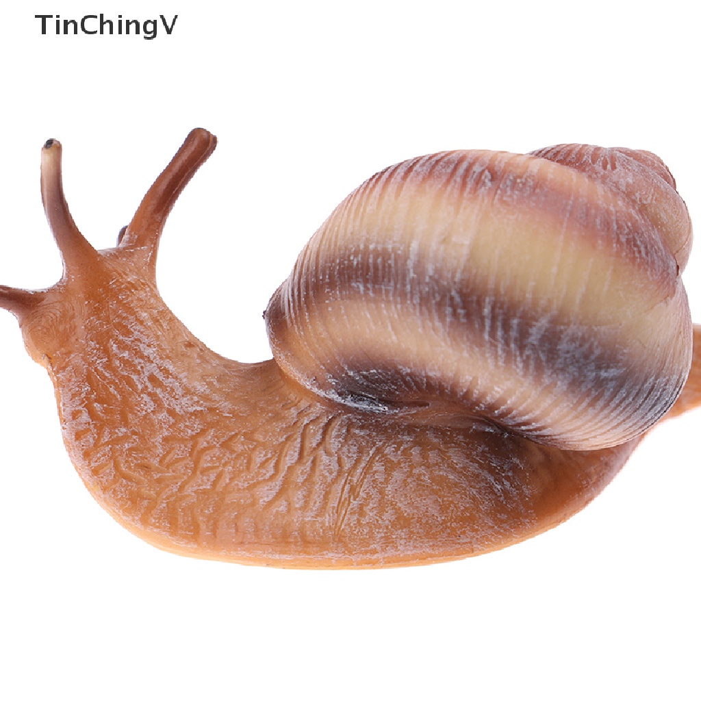 [TinChingV] Đồ trang trí Côn Trùng Động Vật mini Trang Trí Chu Kỳ Mọc Răng