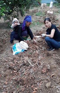 [Giá ưu đãi shop mới]Tinh bột nghệ nguyên chất Vàng/đỏ/đen