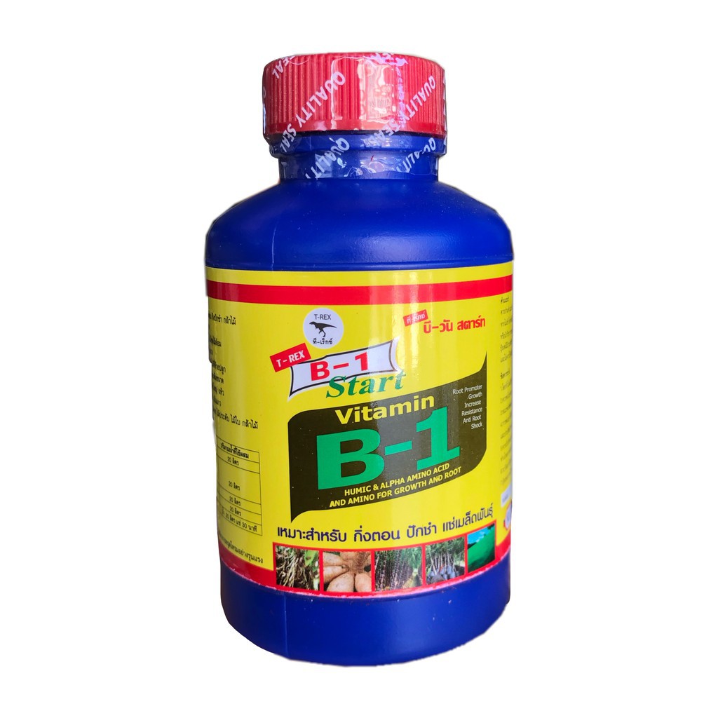Vitamin b1 thái lan