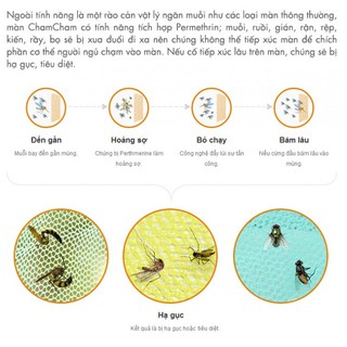 Màn (mùng) xua đuổi và diệt muỗi ChamCham