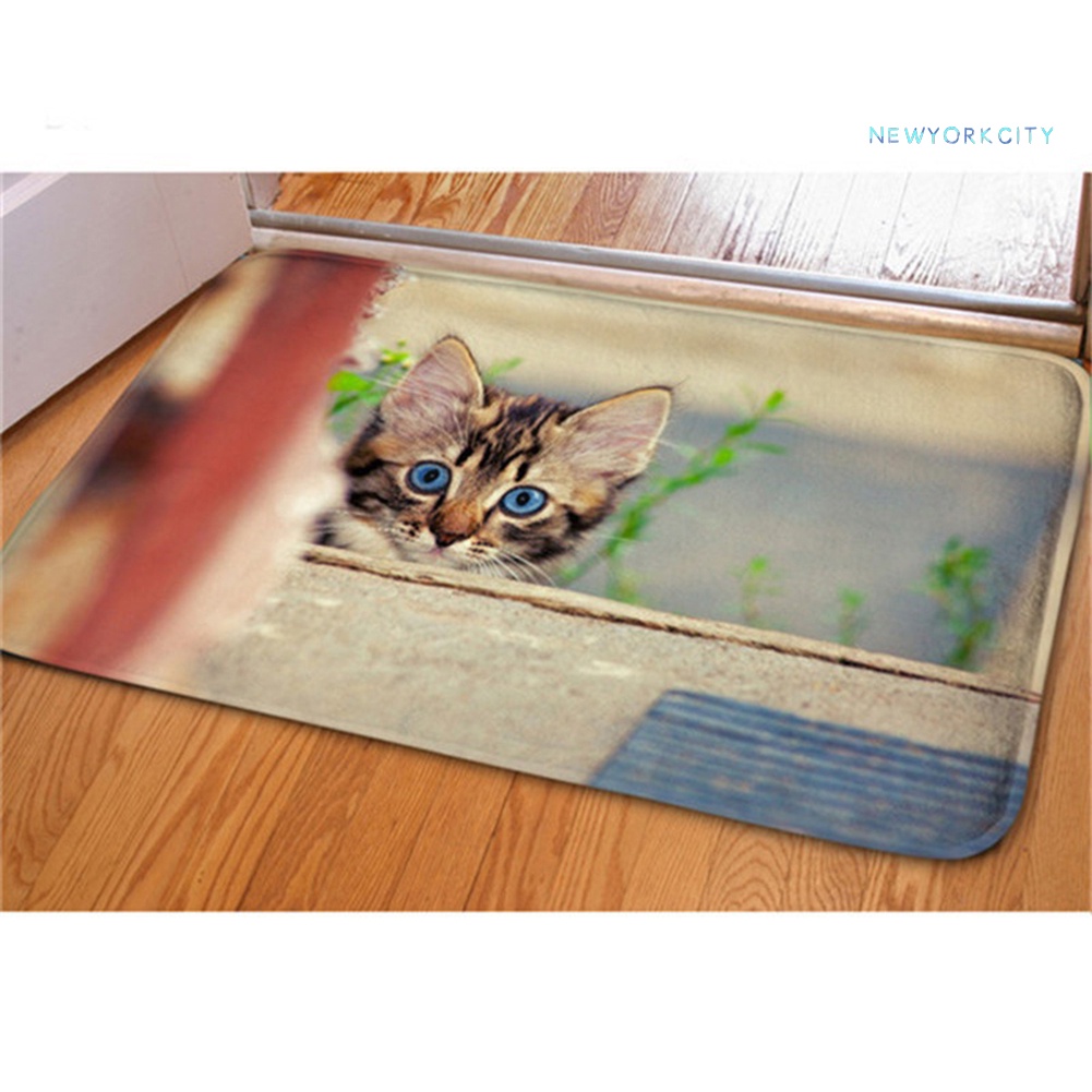 Thảm lót cửa chùi chân Chống Trượt In Hình Mèo 3D
