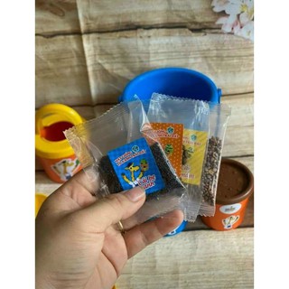 Bộ Đồ Chơi Làm Vườn Grow (Có Sẵn Hạt Giống Và Dụng Cụ Làm Vườn)