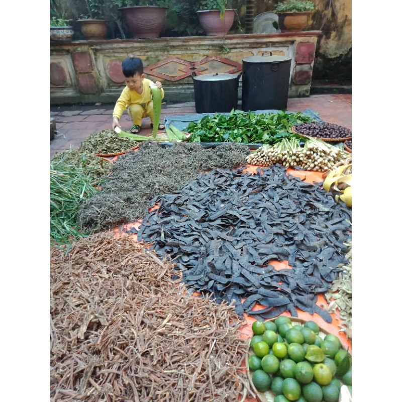 Dầu gội bồ kết thảo dược cô đặc xua tan rụng tóc,kích mọc dày tóc | BigBuy360 - bigbuy360.vn