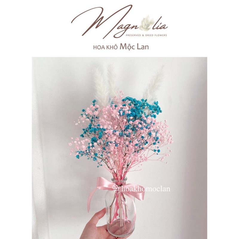 Set hoa khô baby hồng xanh pampass trắng kèm lọ thuỷ tinh decor trang trí để bàn